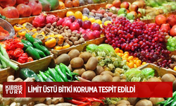 Mandora Mandarin'de limit üstü koruma ürünü tespit edildi