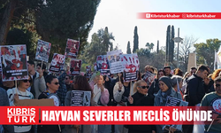 Hayvan severler Meclis önünde: Ceza (Değişiklik) Yasa Önerisine ‘evet’ de!