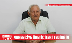 Narenciye üreticileri tedirgin.. Akçın: Destek vermeye hazırlıklı olun