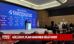 “Beş ana eksen belirlenen Plan'da temel amaç kamu maliyesinde istikrarlı ve sürdürülebilir bir yapı oluşturmak”