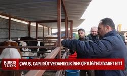 Tarım Bakanı Çavuş, Çaplı Süt ve Damızlık İnek Çiftliği’ni ziyaret etti