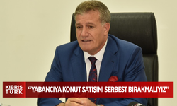 ARIKLI: YABANCIYA KONUT SATIŞINI SERBEST BIRAKMALIYIZ