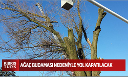 Gazimağusa’da devam eden ağaç budaması nedeniyle yol kapatılacak