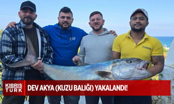 41 Kiloluk Dev Akya (Kuzu Balığı) Yakalandı!