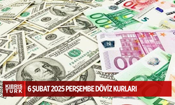 Döviz Kurları…