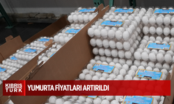 ABD'de kuş gribi, yumurta tedarikini zorlaştırırken fiyatları da artırdı