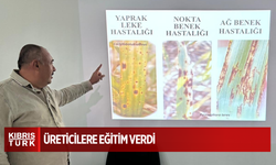 Tahıl hastalıkları ve zararlılarıyla mücadele yöntemleri konusunda üreticilere eğitim verildi