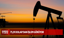 Brent petrolün varili 75,91 dolardan işlem görüyor
