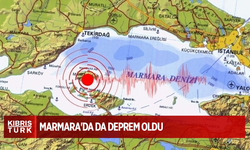 Ege'de sismik hareketlilik sürerken Marmara'da da deprem oldu