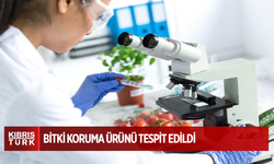 Yerli mandora mandalinle patlıcanda limit üstü bitki koruma ürünü tespit edildi