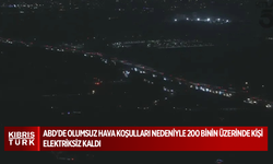 ABD'de olumsuz hava koşulları nedeniyle 200 binin üzerinde kişi elektriksiz kaldı