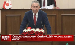 Hasan Tosunoğlu: Öneri, hayvan haklarına yönelik güçlü bir toplumsal irade beyanıdır