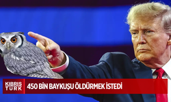 Donald Trump, 450 bin baykuşu öldürmek istedi