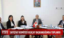 Sayıştay Komitesi toplandı