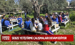 Girne Gençlik Meclisi İnisiyatifi’nin tohum ekimi ve sebze yetiştirme çalışmaları devam ediyor