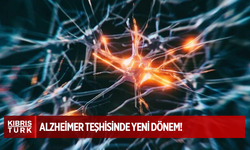 Alzheimer teşhisinde yeni dönem: Kan testiyle erken tanı mümkün!