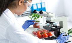 Yerli ürünlerin 6'sında tavsiye dışı ve limit üstü bitki koruma ürünü