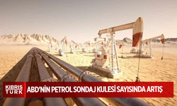 ABD'nin petrol sondaj kulesi sayısında artış