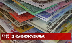 29 Nisan 2025 Döviz Kurları
