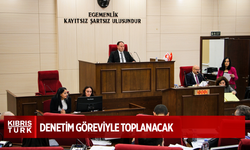 Meclis denetim göreviyle toplanacak