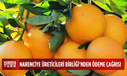 Narenciye Üreticileri Birliği, Cypfruvex’i ödemeleri bir an önce yapmaya çağırdı