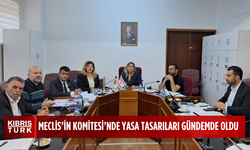 Meclis Komitesinde 1 Yasa Tasarısı, 2 de Yasa Önerisi görüşüldü