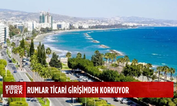 Rumların ticari girişimde bulunma korkusu