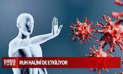 Bağışıklık sistemi, ruh halini de etkiliyor