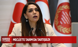 Meclis’te tarım da tartışıldı