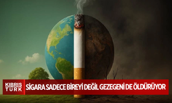 Sigara sadece bireyi değil gezegeni de öldürüyor