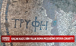 Kaçak kazı 2 bin yıllık Roma mozaiğini ortaya çıkarttı