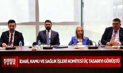 İdari, Kamu ve Sağlık İşleri Komitesi üç tasarıyı görüştü