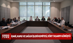 İdari, Kamu ve Sağlık İşleri Komitesi, dört tasarıyı görüştü