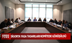 Ekonomi, Maliye, Bütçe ve Plan Komitesi bugün sigorta yasa tasarılarını görüştü