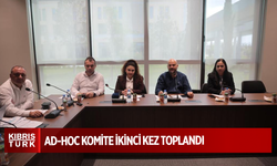 Dijital dünyada çocuk haklarıyla ilgili çalışma yapan Ad-Hoc komite ikinci kez toplandı