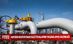 AB'den Rusya'dan gaz ithalatını yasaklama hazırlığı
