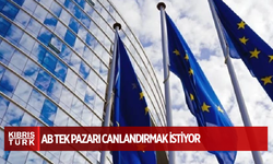 AB tek pazarı canlandırmak istiyor