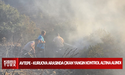 Avtepe - Kuruova arasında çıkan yangın kontrol altına alındı