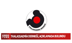 Thalassaemia Derneği, Uluslararası Thalassemia Günü dolayısıyla açıklama yaptı
