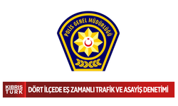 Dört ilçede eş zamanlı trafik ve asayiş denetimi