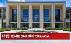 Dijital dünyada çocuk haklarına ilişkin komite, cuma günü toplanacak