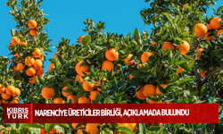 Narenciye Üreticiler Birliği: “Ürünü Cypfruvex’e vereli 8 ay oldu, ancak ödeme konusunda hiçbir çalışma yok”
