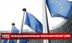 AB'den uluslararası ortaklara "Rusya'ya baskı yapılması" çağrısı