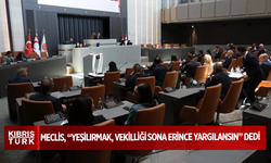 Meclis, oyçokluğuyla “Yeşilırmak, vekilliği sona erince yargılansın” dedi