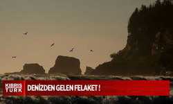 Bilim İnsanları Uyardı, Kara Göçü kapıda
