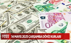 Döviz kurları