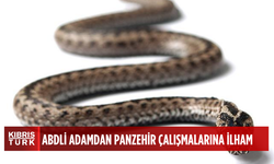 ABD'li adamın yılan zehrine karşı bağışıklık kazanma deneyimi, yeni panzehir çalışmalarına ilham oldu
