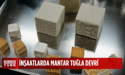 İnşaat sektöründe devrim gibi karar: Mantar tuğlalar kullanılacak