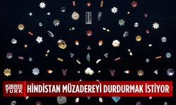 Hindistan, "Buda'nın mücevherleri"nin satılacağı müzayedeyi durdurmak istiyor