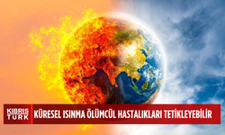 Son araştırma: Küresel ısınma ölümcül mantar hastalığını yayabilir